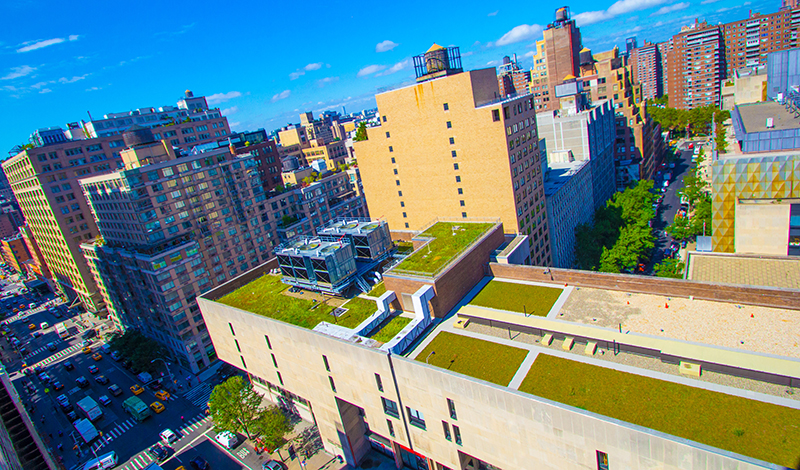 2016_GreenRoofs-3443